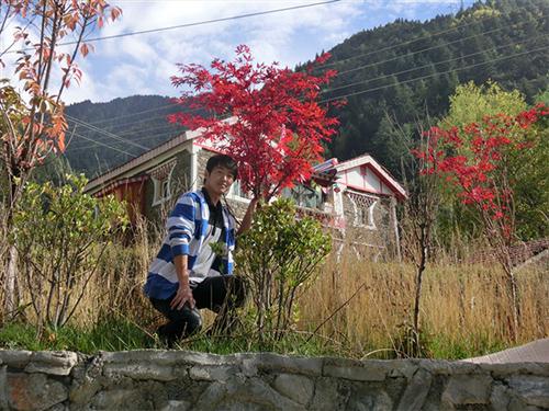 时时彩计划